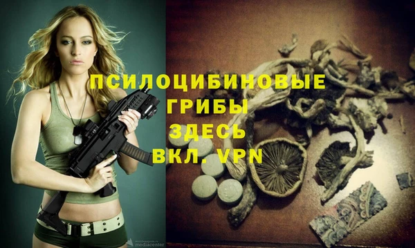 СК Абинск