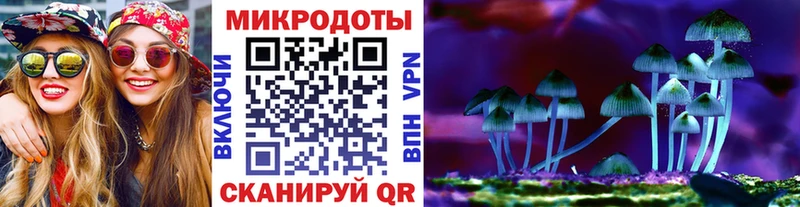купить Алатырь Псилоцибиновые грибы Magic Shrooms